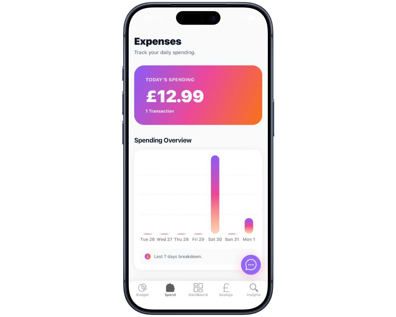 Track Daily Spending